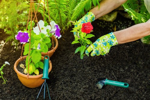 In a cultivated garden area, a person wearing colourful gardening gloves is planting a red-flowered plant into dark, loose soil. Adjacent, there are two hanging pottery pots filled with vibrant white and purple petunias, suspended from a wooden support, and a greenhouse or lush green foliage in the background indicates a well-maintained outdoor space typical of a gardening service in Hendon. The ground appears freshly cultivated with a pair of pruning shears placed nearby, suggesting ongoing planting activity. The garden features a mix of plant containers, soil, and greenery, with natural sunlight illuminating the scene, reflecting a typical landscape cared for by professional gardening services. This setting demonstrates practical planting techniques and outdoor maintenance within a suburban garden environment, suitable for a landscaping and garden care service provider such as Gardening Services Hendon operating within the NW postcode area.