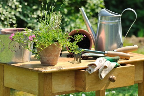 Garden debris being removed during clearance