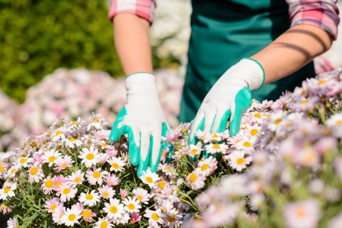 Crew managing garden borders with safety signage