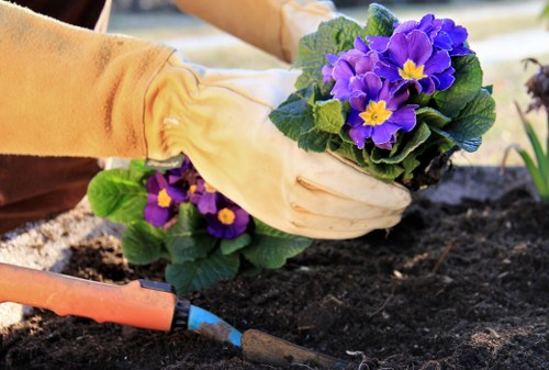 Eco-friendly gardening practices in a Hendon garden
