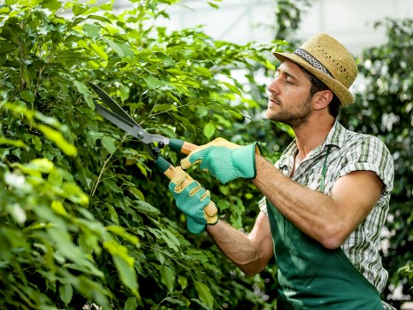 Professional landscape gardener designing a Hendon garden layout