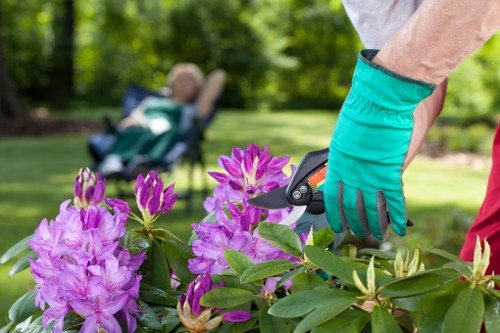 Stunning outdoor space created by Hendon gardening experts