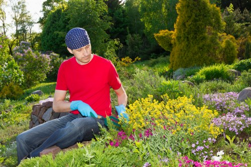 Garden clearance and overgrown spaces concept