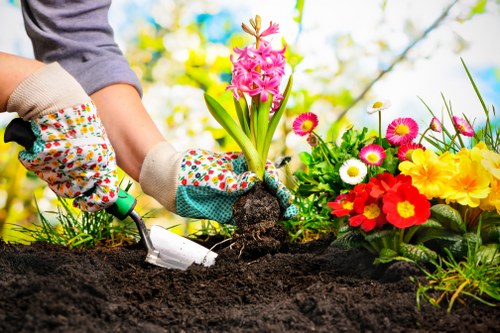 Professional garden maintenance services in Hendon