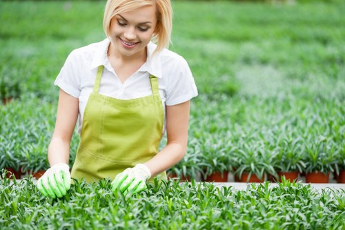 Seasonal garden care in Hendon